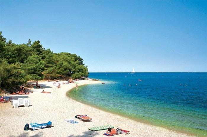 Apartment Golden Sun, Novigrad, Istria, Croatia Novigrad Istria المظهر الخارجي الصورة