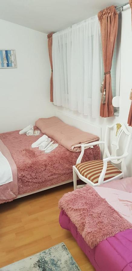 Apartment Golden Sun, Novigrad, Istria, Croatia Novigrad Istria المظهر الخارجي الصورة