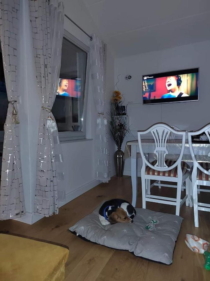 Apartment Golden Sun, Novigrad, Istria, Croatia Novigrad Istria المظهر الخارجي الصورة